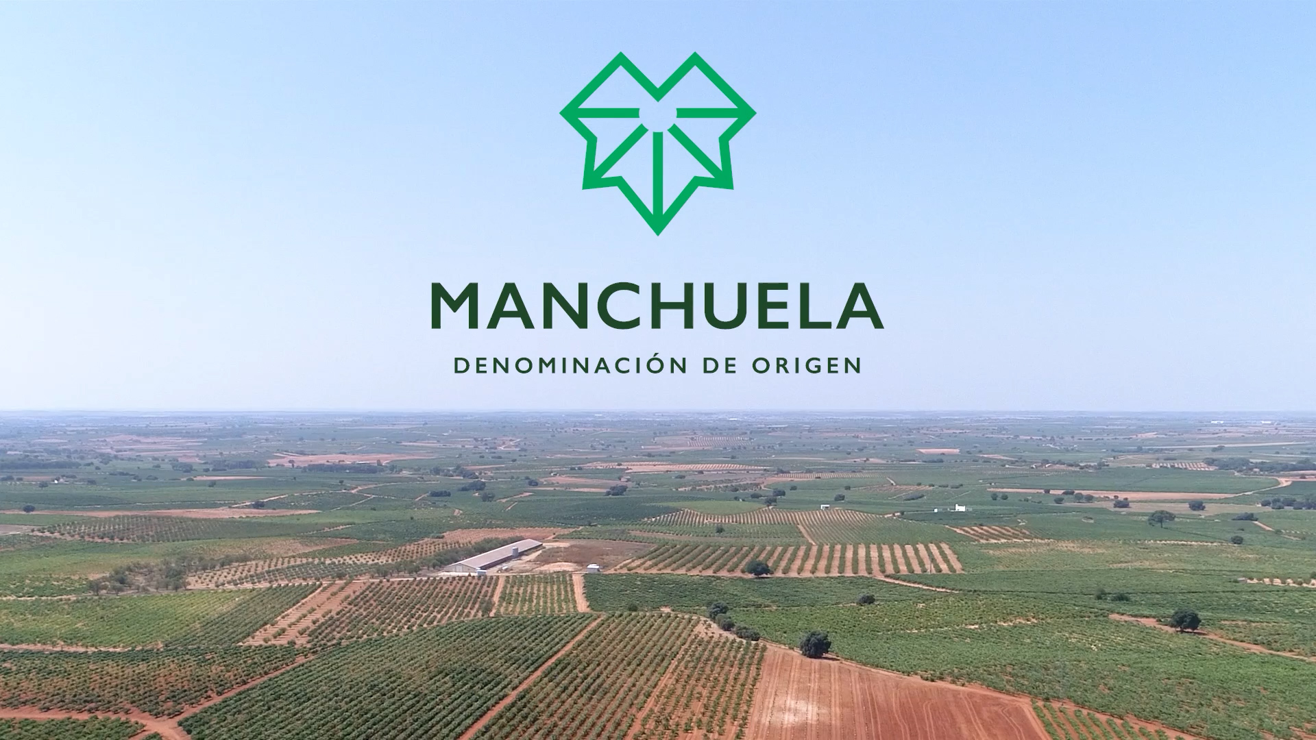D.O. Manchuela