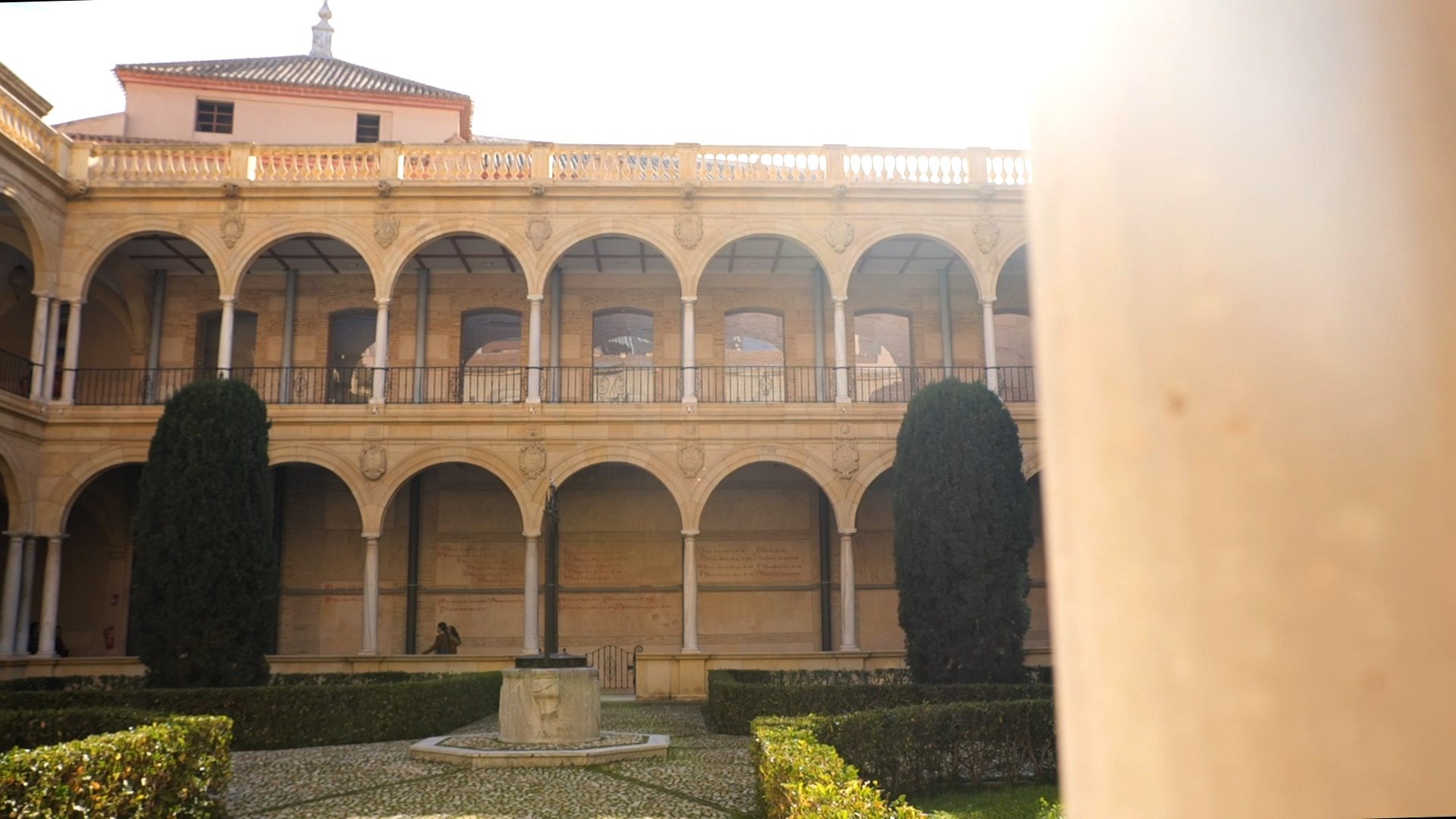 Cátedras Universidad de Murcia